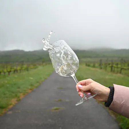 Barka Galeria Es Etterem Nocleg ze śniadaniem Tállya