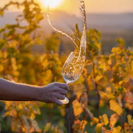 Barka Galeria Es Etterem 3* Tállya