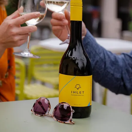 Nocleg ze śniadaniem Barka Galeria Es Etterem Tállya