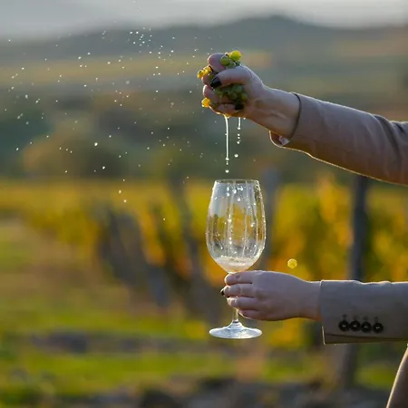 Barka Galeria Es Etterem Tállya